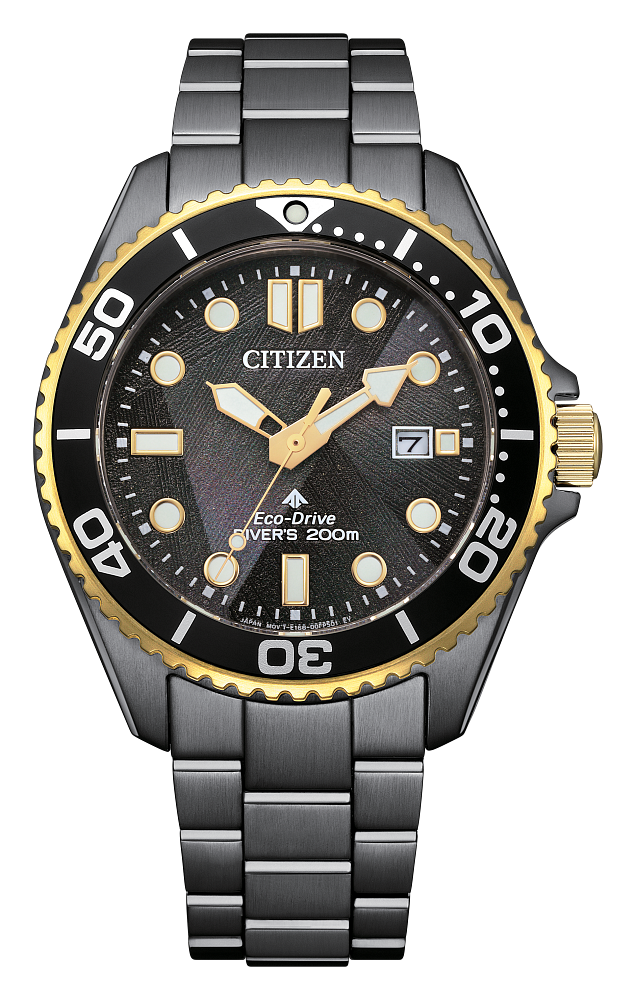 Promaster Dive